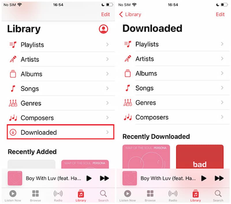 Downloaded Apple Music