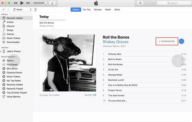 Play Downloaded Apple Music Offline