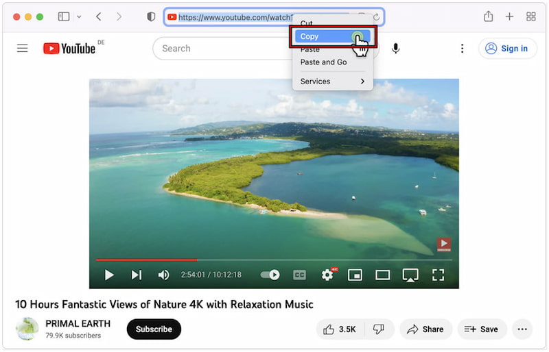 Copy Youtube Link