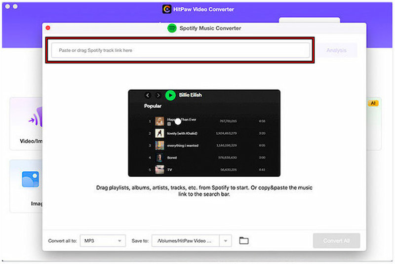 Paste Copied Spotify Link