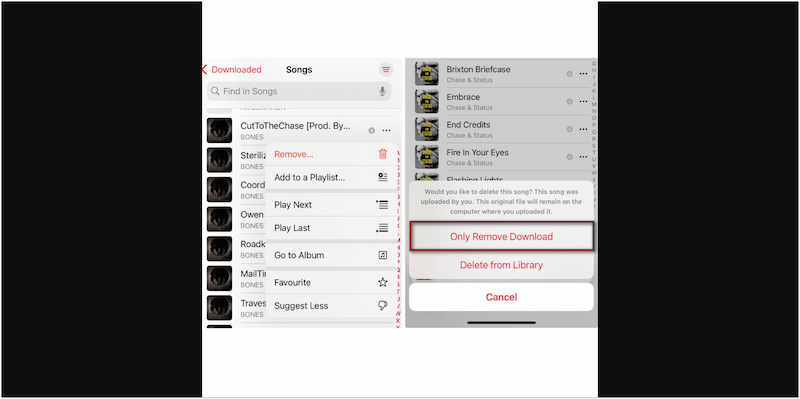 Only Remove Download