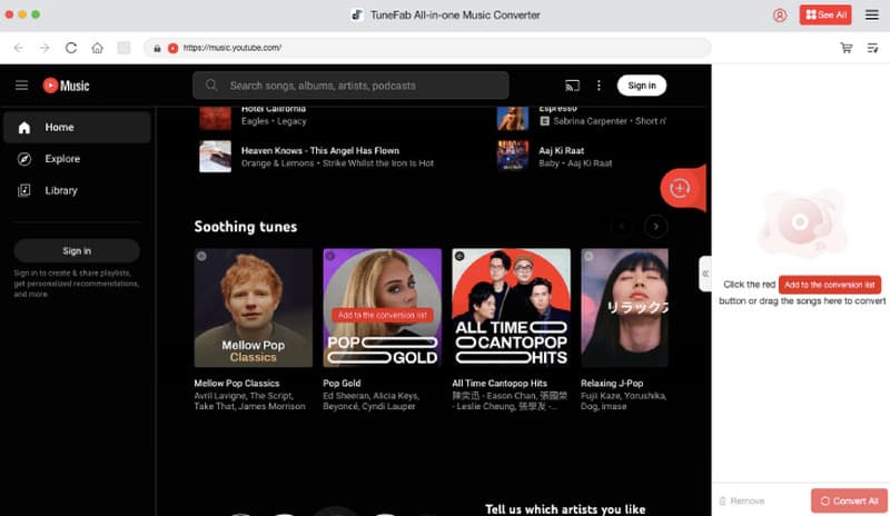 Tunefab Youtube Music Downloader