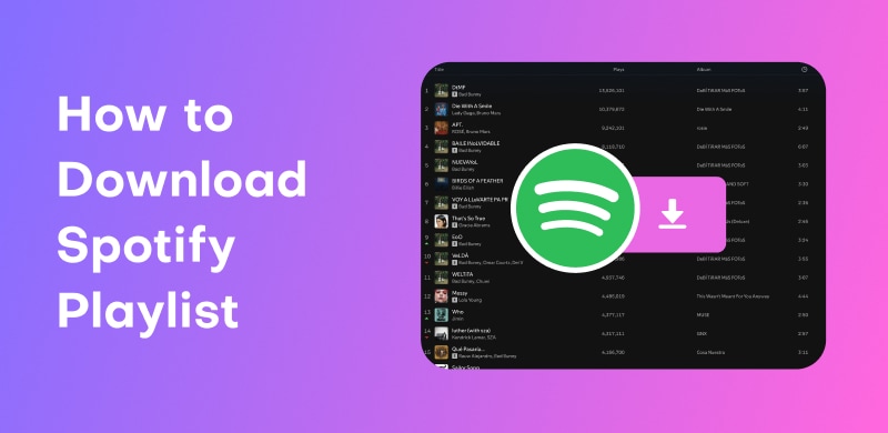 How To Download Spotify Playlist