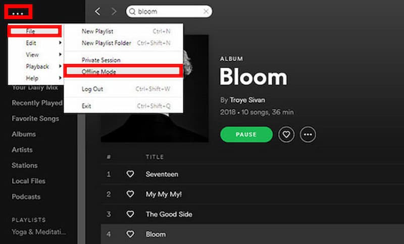 Spotify Premium Offline Mode