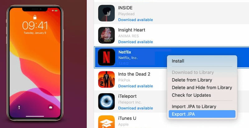 Export Netflix Ipa From iPhone