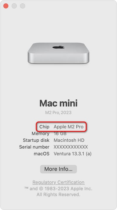 Mac Chip