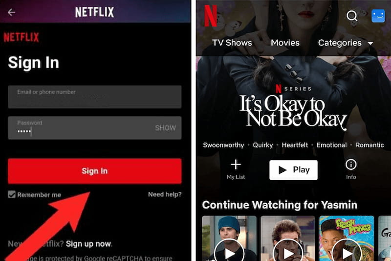 Netflix App Login