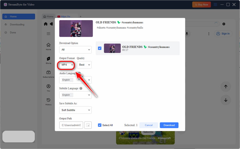 Youtube Output Format