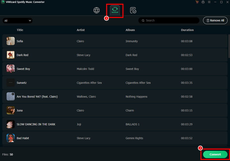 Convert Spotify Music Viwizard