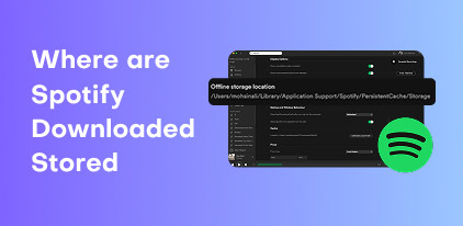 Spotify Downloaded Stored