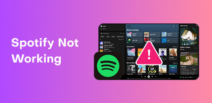 Spotify Not Working
